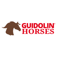 novazzi_guidolin-horses