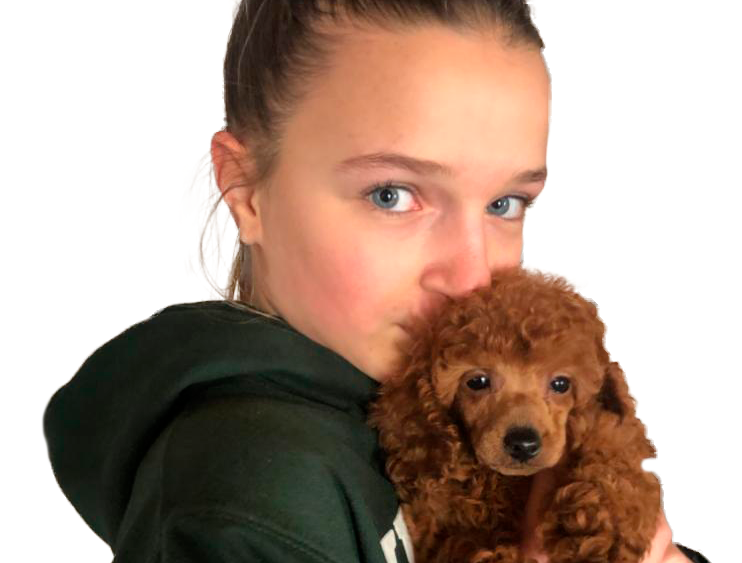 Pet Care - Novazzi